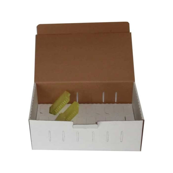 SCATOLA IN CARTONE PER SPEDIZIONE REGINE (N.30 GABBIETTE)