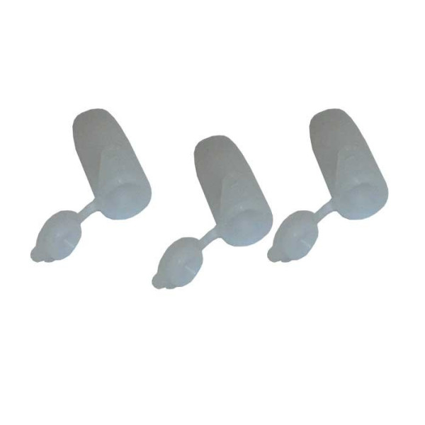 CELLA REALE DI INTRODUZIONE CON TAPPO