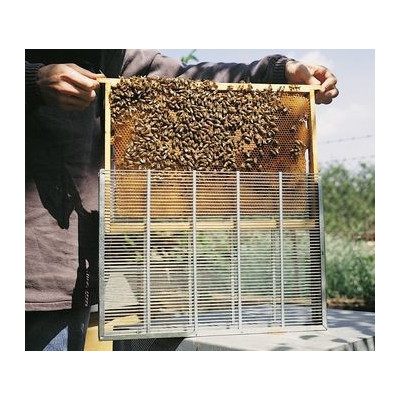 ISOLATORE A TASCA,in griglia escludi regina