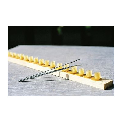 STECCA PORTA CUPOLINI D.B.