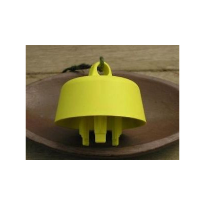 TAP-TRAP,TAPPO TRAPPOLA PER CALABRONI E VESPE