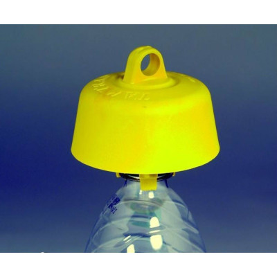 TAP-TRAP,TAPPO TRAPPOLA PER CALABRONI E VESPE