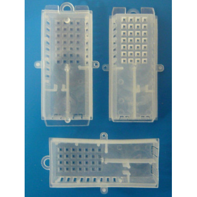 GABBIETTA PER INDRODUZIONE DELLA REGINA