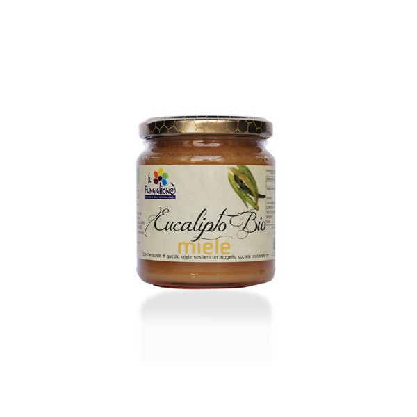 MIELE DI EUCALIPTO BIOLOGICO 400g