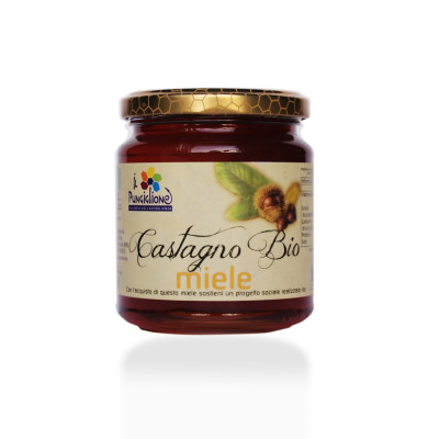 MIELE DI Castagno Biologico 400 GR.