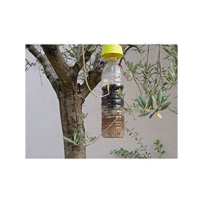 TAP TRAP,TAPPO TRAPPOLA PER CALABRONI E VESPE