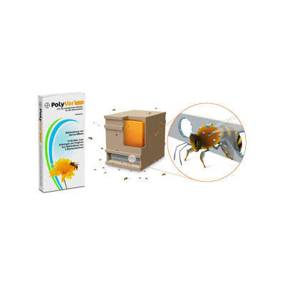 Polyvar Yellow Bayer 10 strisce