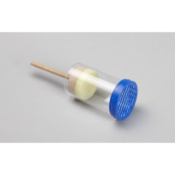 Marca Regina a Pistone