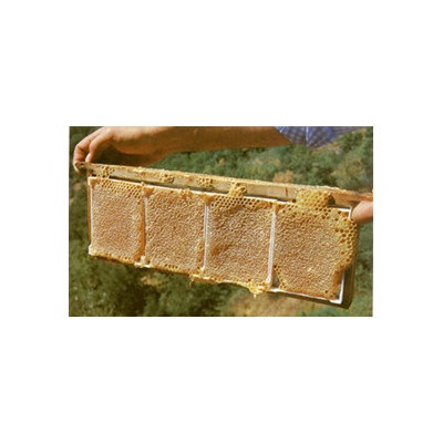 Favetto HF grande in plastica,per miele in favo