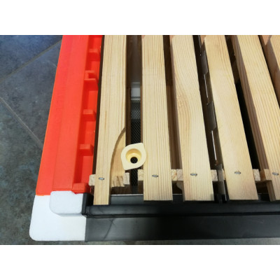 ARNIA QUADRI, P-HIVE