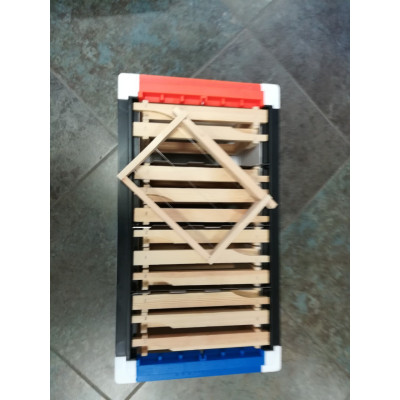 ARNIA QUADRI, P-HIVE