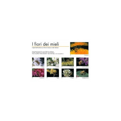 Serie fotografie 'I fiori del miele', 9 foto a colori 210x300 mm