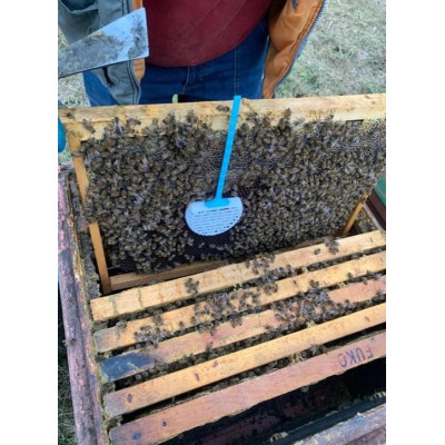 Gabbietta di covata mini  Me.Ga