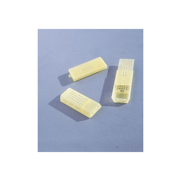 GABBIETTA GIALLA PER TRASPORTO E INSERIMENTO REGINE