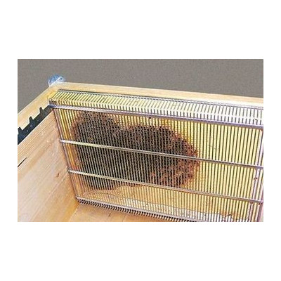 ISOLATORE SEMPLIFICATO ANTIVARROA